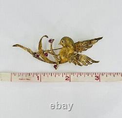 Antique, 18K YG Bird Of Paradise Brooch With Ruby And Emerald