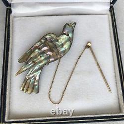 Antique Early Victorian Carved Abalone Shell Bird Brooch Pin with 9k Safety Chain
