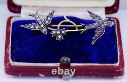 Antique Empire Love Birds Brooch 18k Gold and Diamonds c1905 Boxed