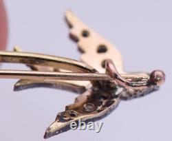 Antique Empire Love Birds Brooch 18k Gold and Diamonds c1905 Boxed