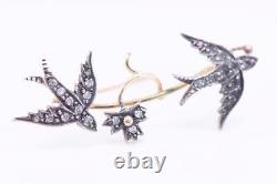 Antique Empire Love Birds Brooch 18k Gold and Diamonds c1905 Boxed