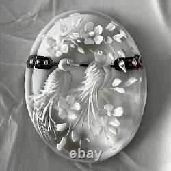 Antique Reverse Carved Lucite Bird Brooch Trombone Clasp Made In France