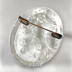 Antique Reverse Carved Lucite Bird Brooch Trombone Clasp Made In France