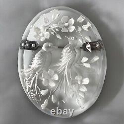 Antique Reverse Carved Lucite Bird Brooch Trombone Clasp Made In France