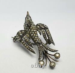 Antique Silver Bird Brooch With Red Stone And Cultured Pearls