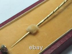Antique Tested 18K Gold & Enamel BIRD/ PARROT STICK PIN BROOCH with Jewelry Box