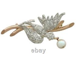 Antique Victorian 0.36ct Diamond & Pearl Ruby and 18ct Yellow Gold Bird Brooch