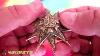Brooch Pin Antique Double Star Victorian