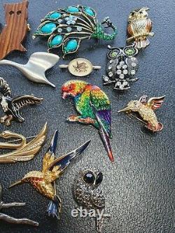 Job Lot Vintage & Modern Bird Owl Peacock Costume Jewellery Brooches