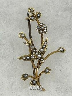 Victorian 9k Yellow Gold Seed Pearl Flower Peace Dove Bird Pin Brooch