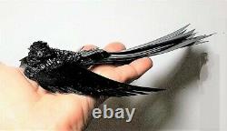 Victorian Beaded Black Celluloid Bird Hair Comb / Clip/ Brooch/ Handmade 100 yrs