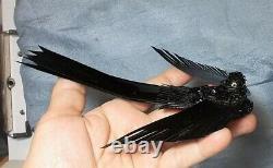 Victorian Beaded Black Celluloid Bird Hair Comb / Clip/ Brooch/ Handmade 100 yrs