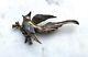 Vintage 925 Sterling Silver Bird On A Branch Large Brooch Mexico Taxco Mexican
