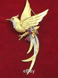 Vintage Amazing condition signed Pierre Boucher brooch Bird of Paradise 1950's
