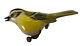 Vintage Brooch Takahashi Song Bird Pin Wood Yellow Green 1 3/4