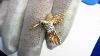 Vintage Mid Century Humming Bird Motif Pin Circa 1950 14k U0026 Diamonds