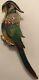 Vintage Macaw Parrot Multi-colored Bird Brooch Pin-4