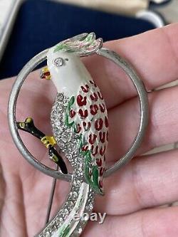 Vintage brooch bird Parrot large with crystals very beautiful