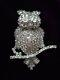 Vintage Signed Castlecliff Large Silver Tone Owl Bird On A Branch Brooch Pin